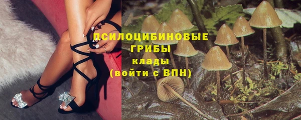 Альфа ПВП Лихославль