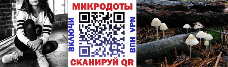 сколько стоит  Спас-Клепики  kraken как войти  Псилоцибиновые грибы MAGIC MUSHROOMS 